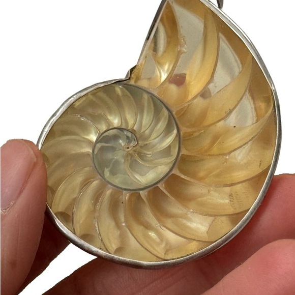 Transparent Nautilus Shell Pendant - Picture 4 of 5